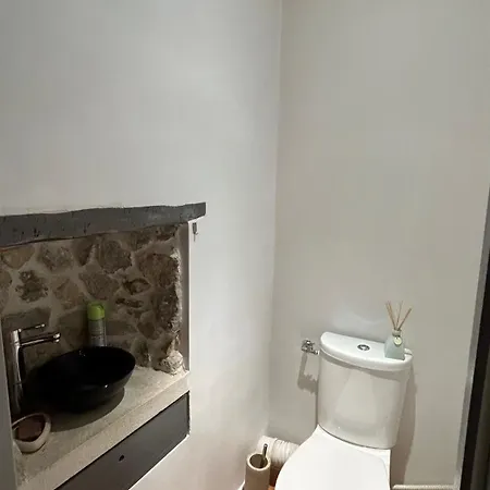 Apartment Loft 3 Pieces Dans Vieil